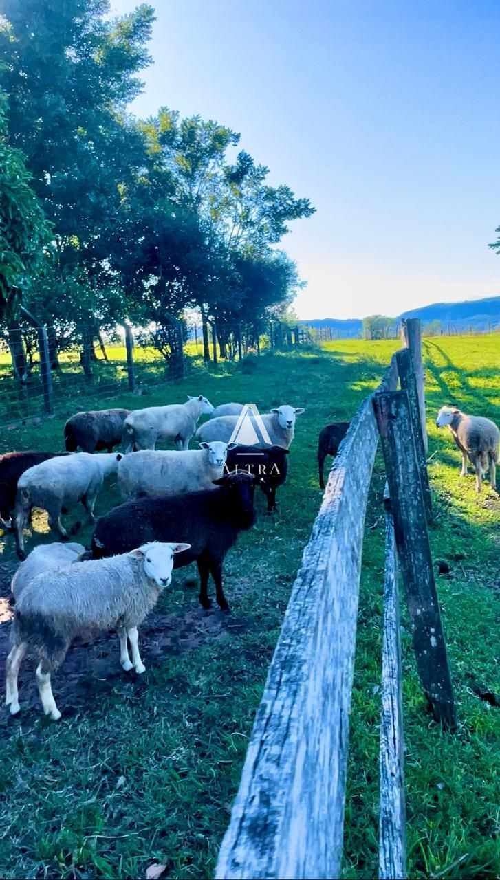 Fazenda à venda com 2 quartos, 210000m² - Foto 11