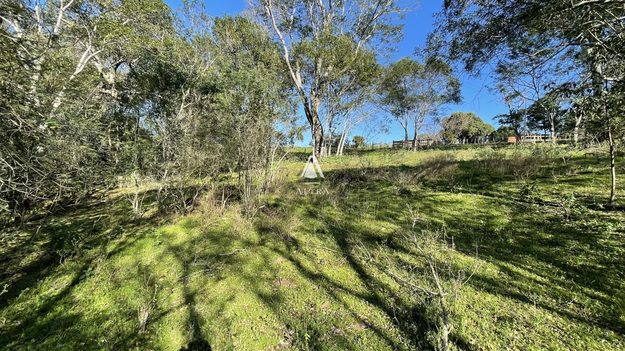 Fazenda à venda com 3 quartos, 229000m² - Foto 38