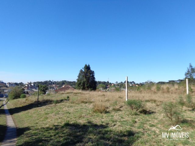 Terreno/Lote  venda  no Santa Terezinha - Canela, RS. Imveis