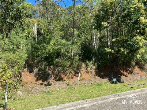 Terreno, 523 m² - Foto 1