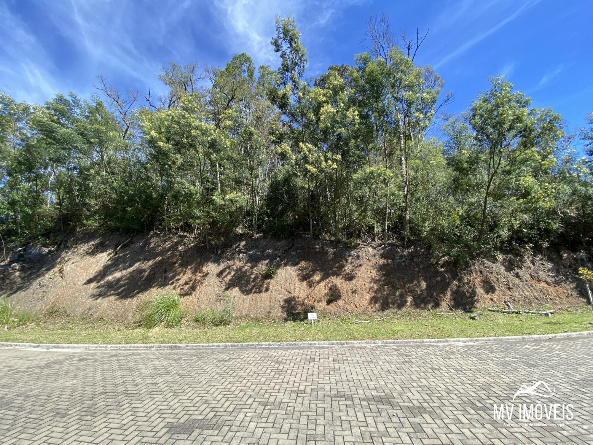 Terreno, 1304 m² - Foto 2