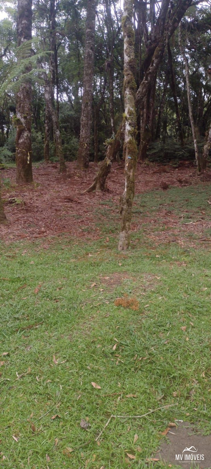 Terreno, 1110 m² - Foto 5