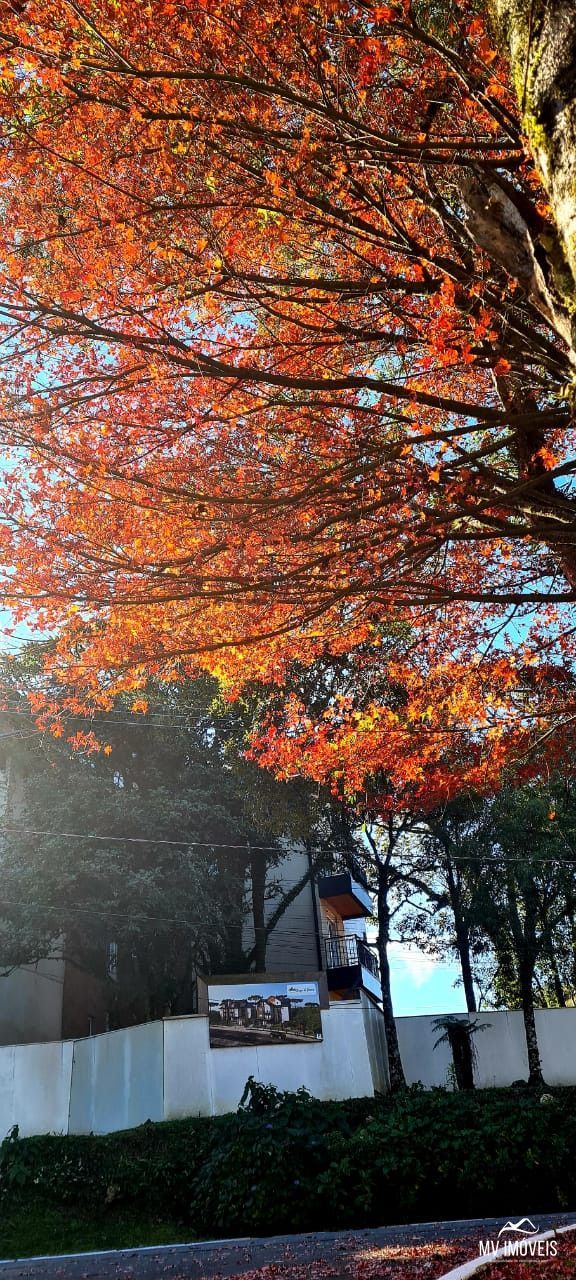 Apartamento, 1 quarto, 51 m² - Foto 10