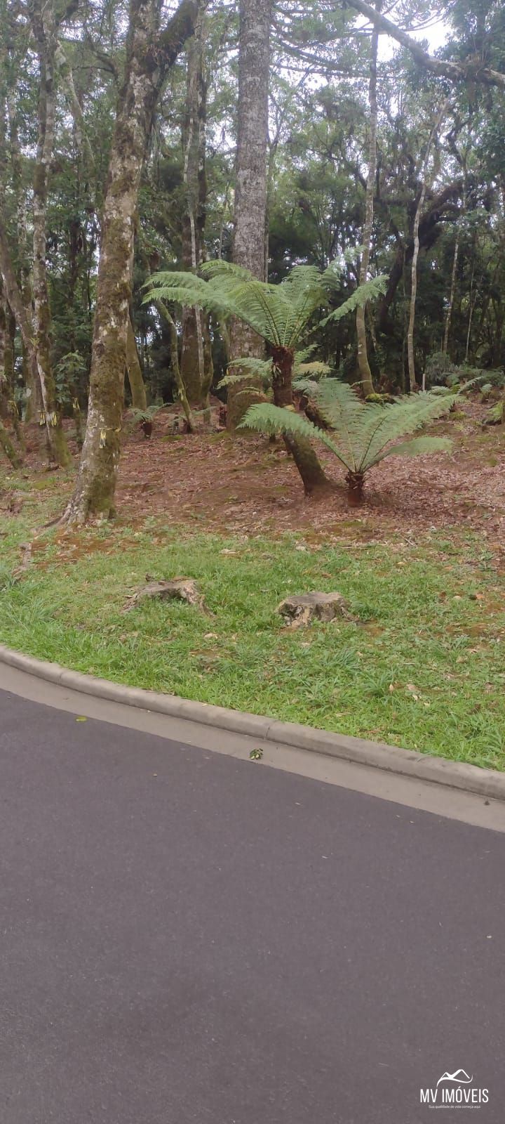 Terreno, 1110 m² - Foto 3