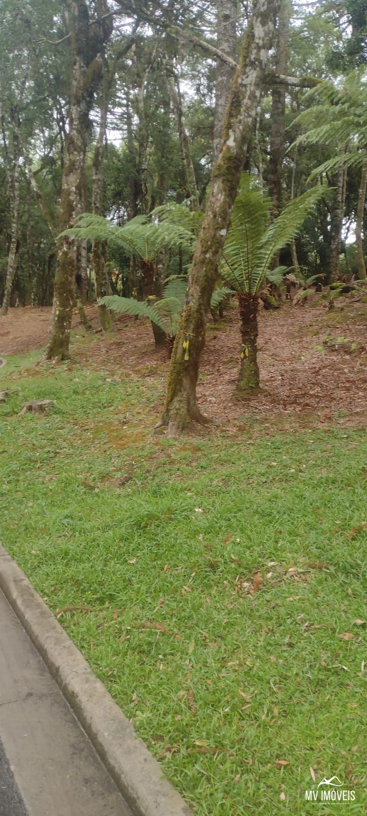 Terreno, 1110 m² - Foto 4