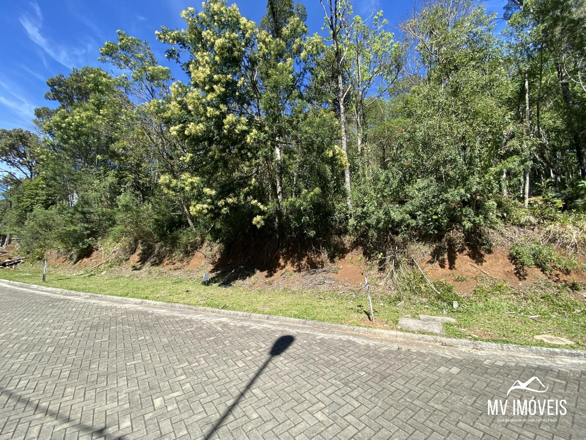 Terreno, 523 m² - Foto 5