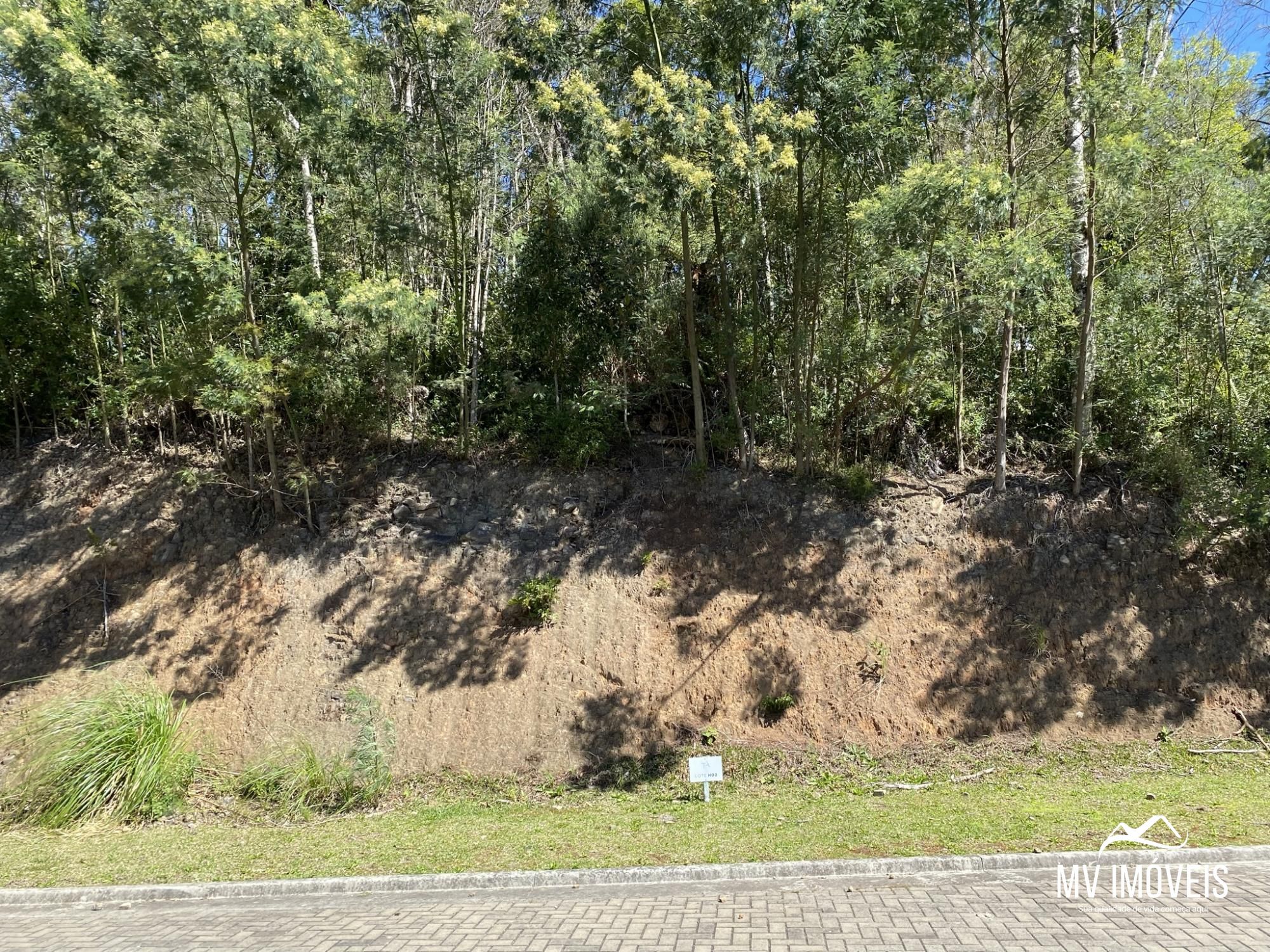 Terreno, 1304 m² - Foto 3