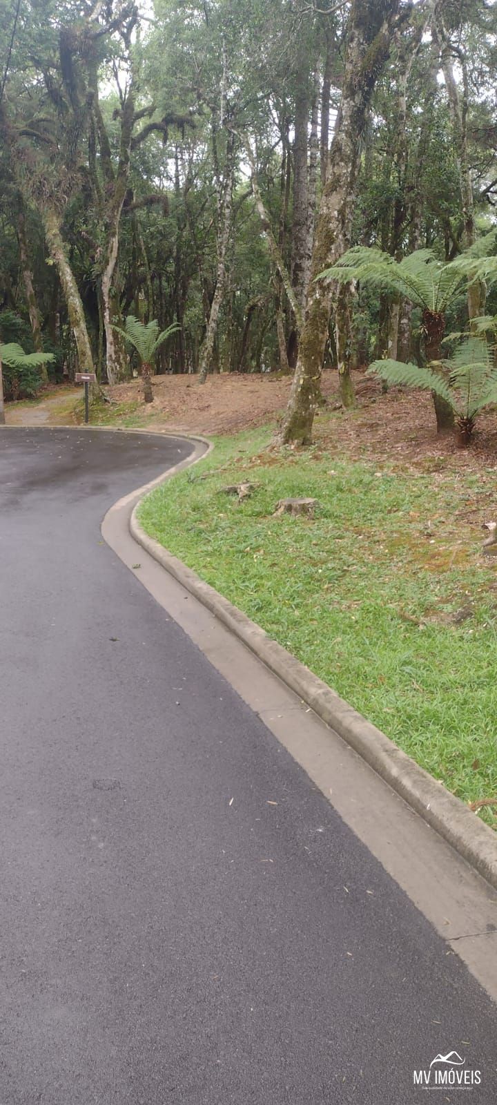 Terreno, 1110 m² - Foto 2