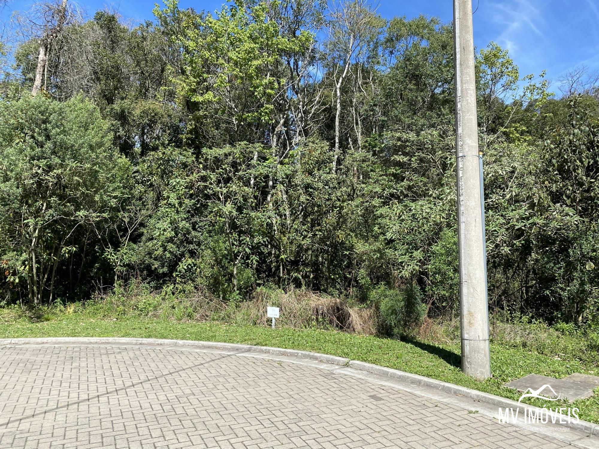 Terreno, 597 m² - Foto 1