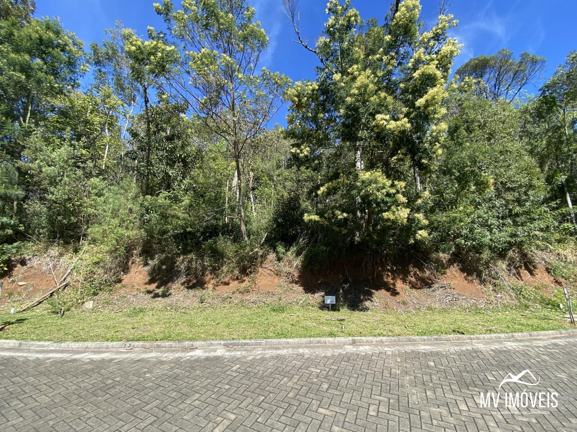 Terreno, 523 m² - Foto 3