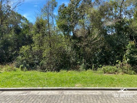 Terreno, 612 m² - Foto 2