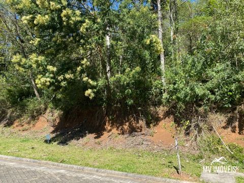 Terreno, 523 m² - Foto 4