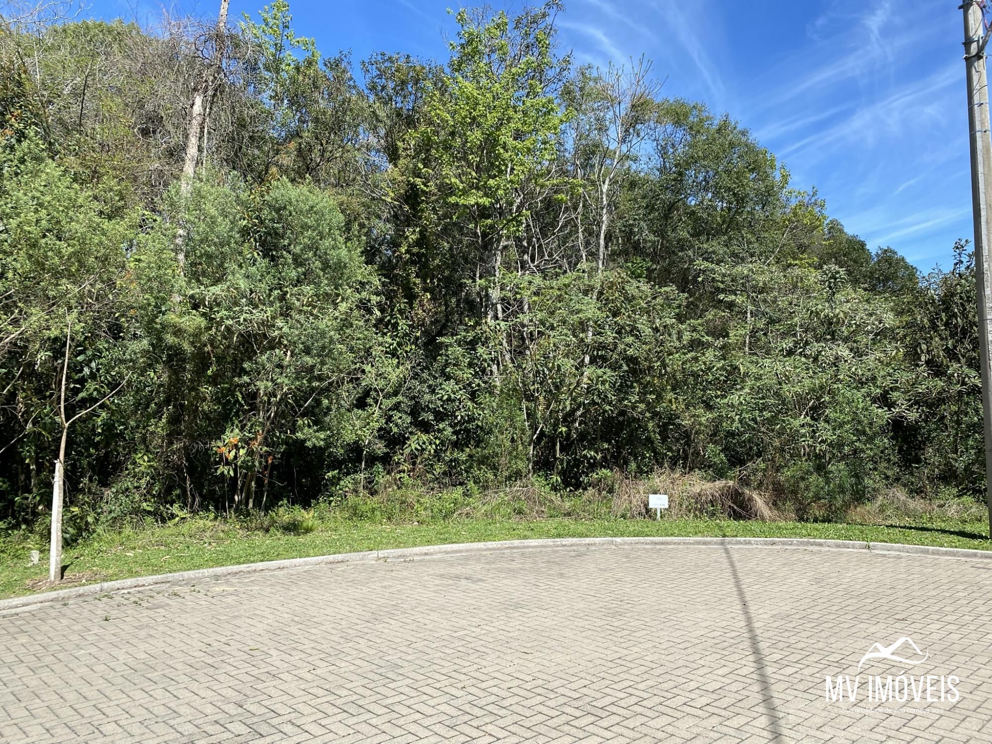 Terreno, 597 m² - Foto 3