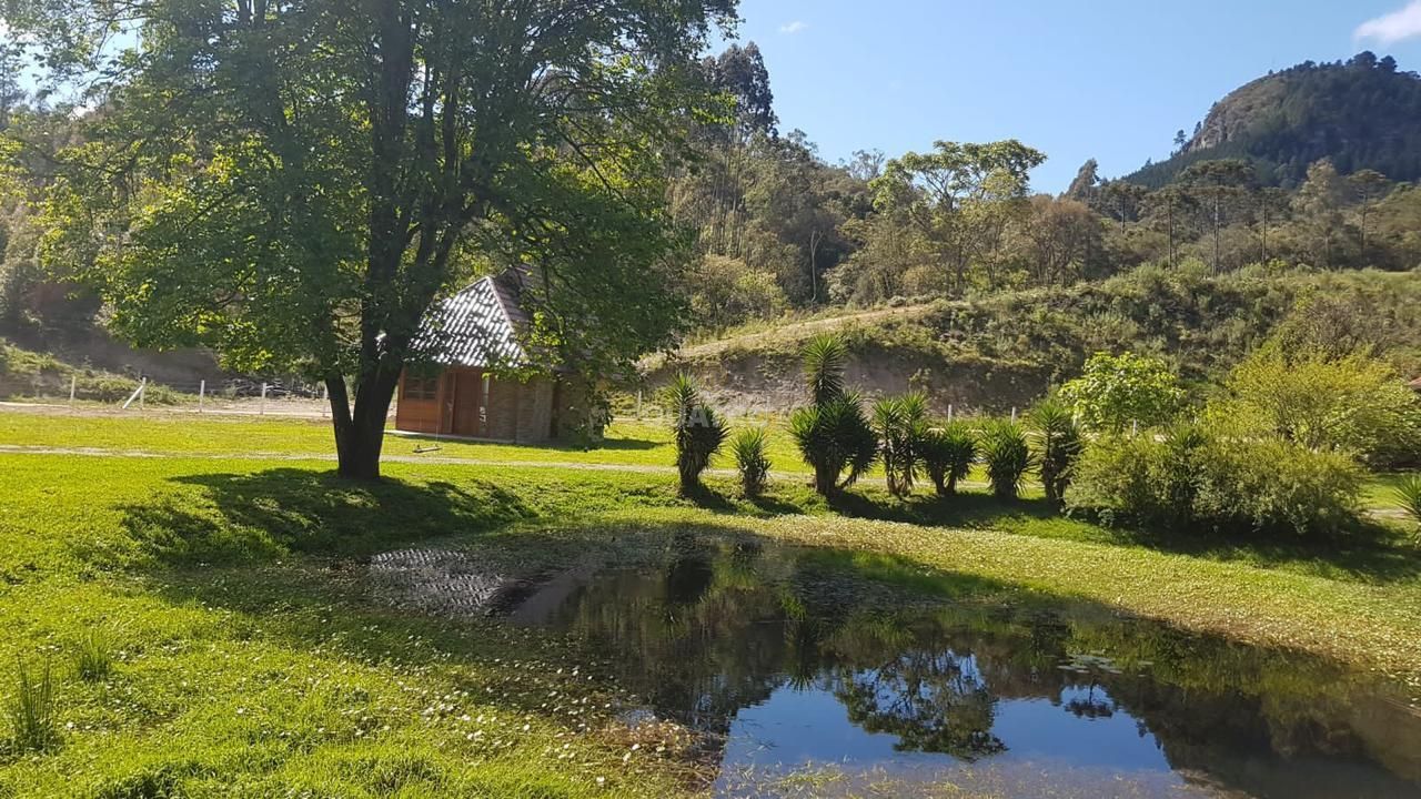 Fazenda à venda com 4 quartos, 175m² - Foto 2