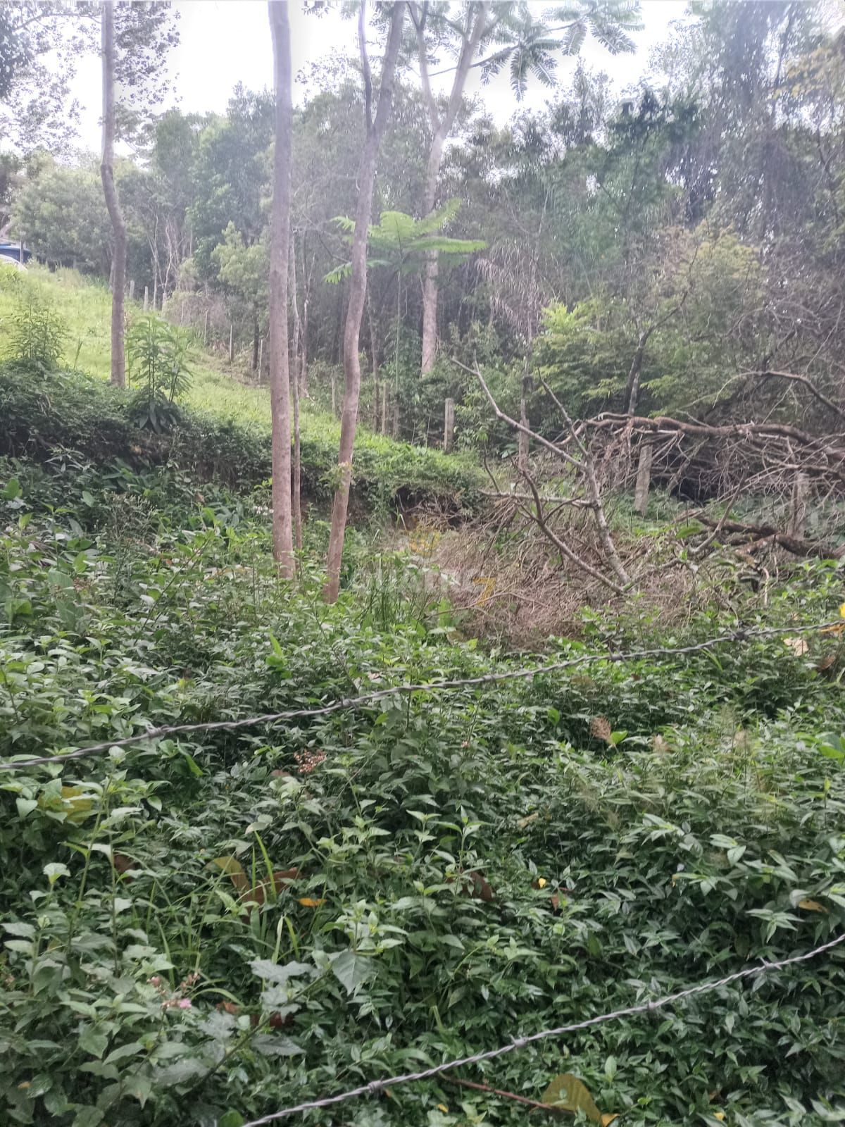 Terreno, 845 m² - Foto 2