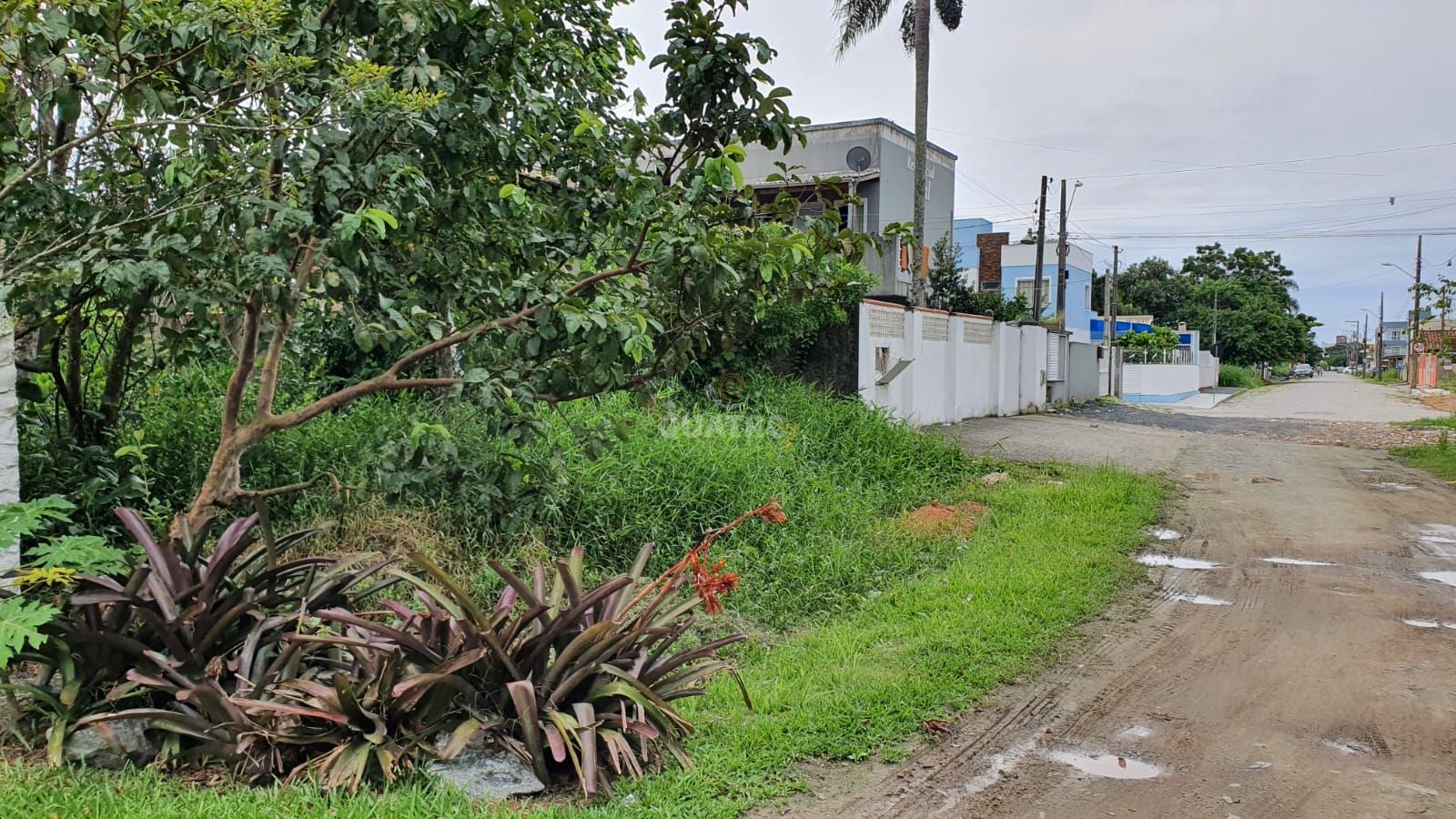 Terreno, 264 m² - Foto 3