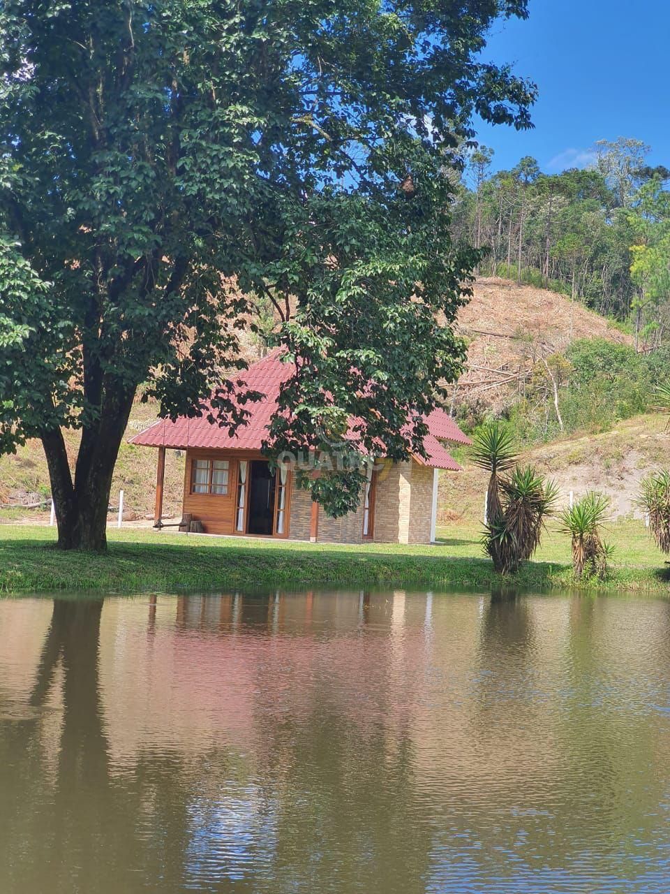 Fazenda à venda com 4 quartos, 175m² - Foto 5