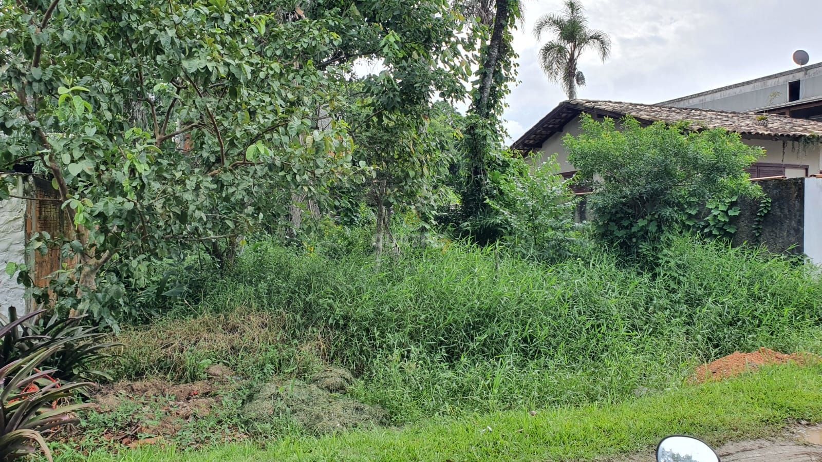 Terreno, 264 m² - Foto 1