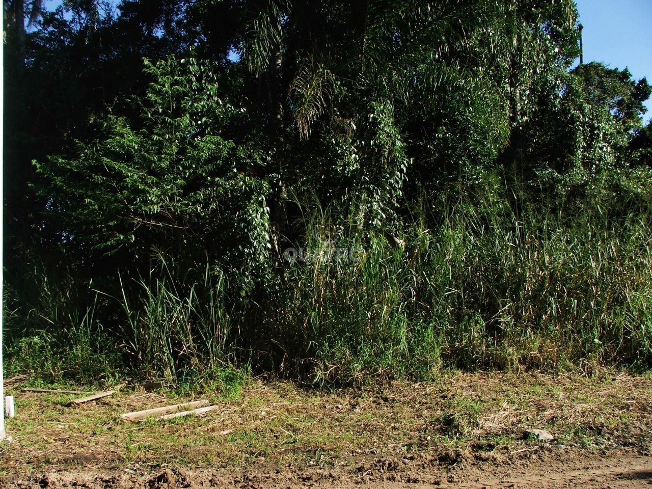 Terreno, 300 m² - Foto 2