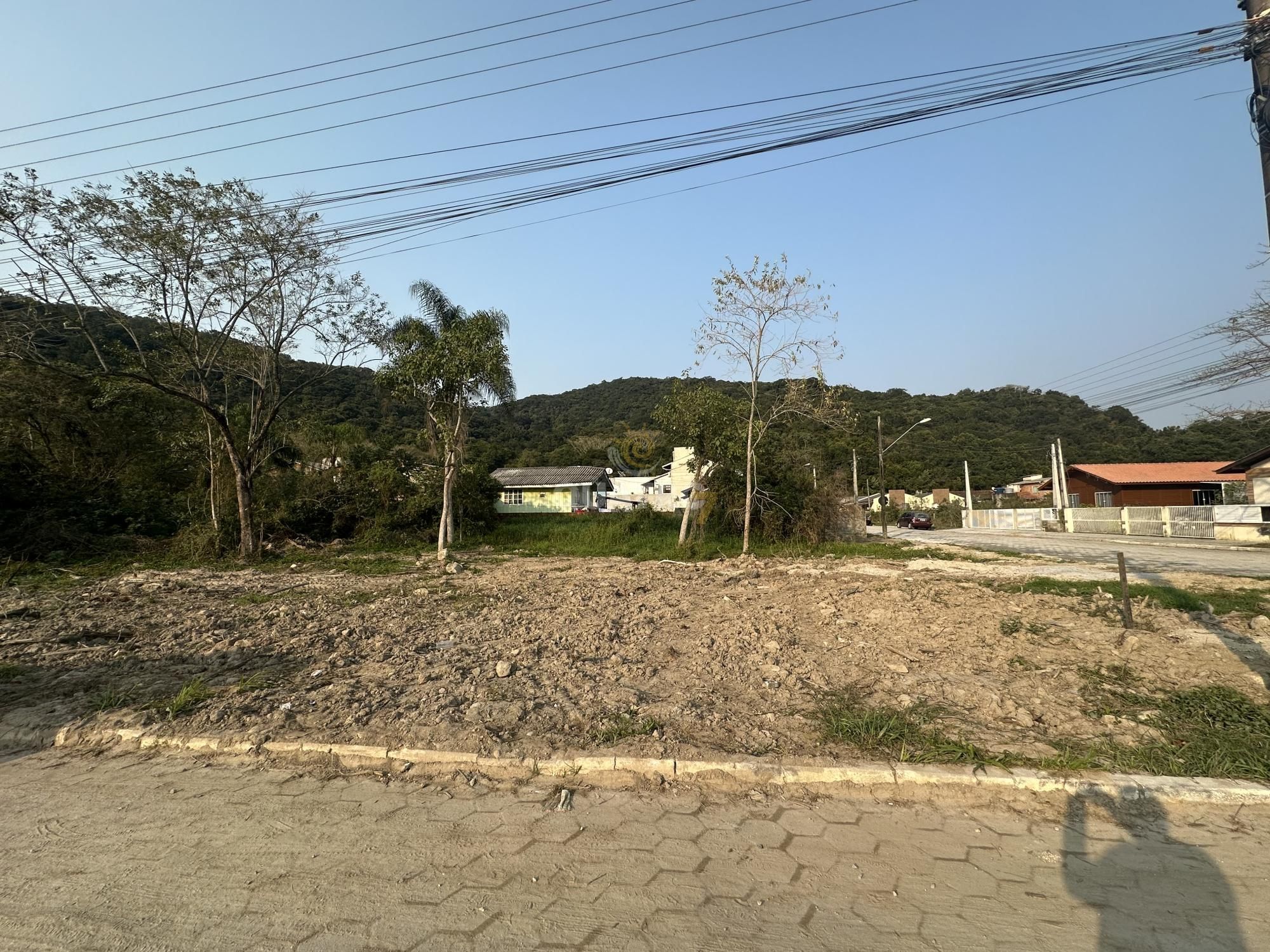 Terreno/Lote  venda  no Z Amndio - Bombinhas, SC. Imveis