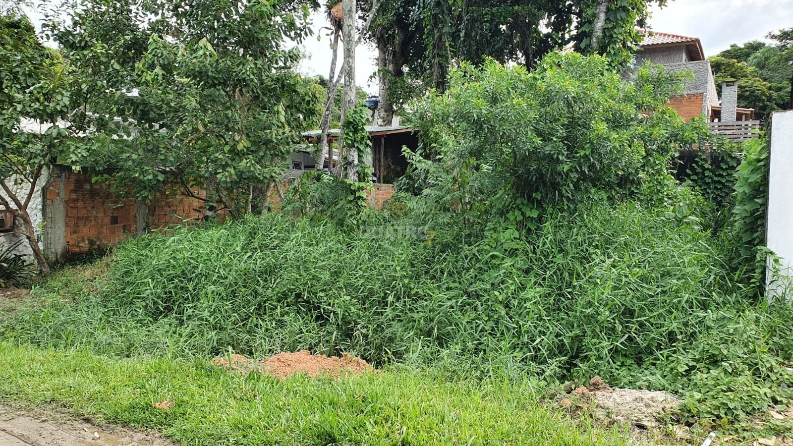 Terreno, 264 m² - Foto 2