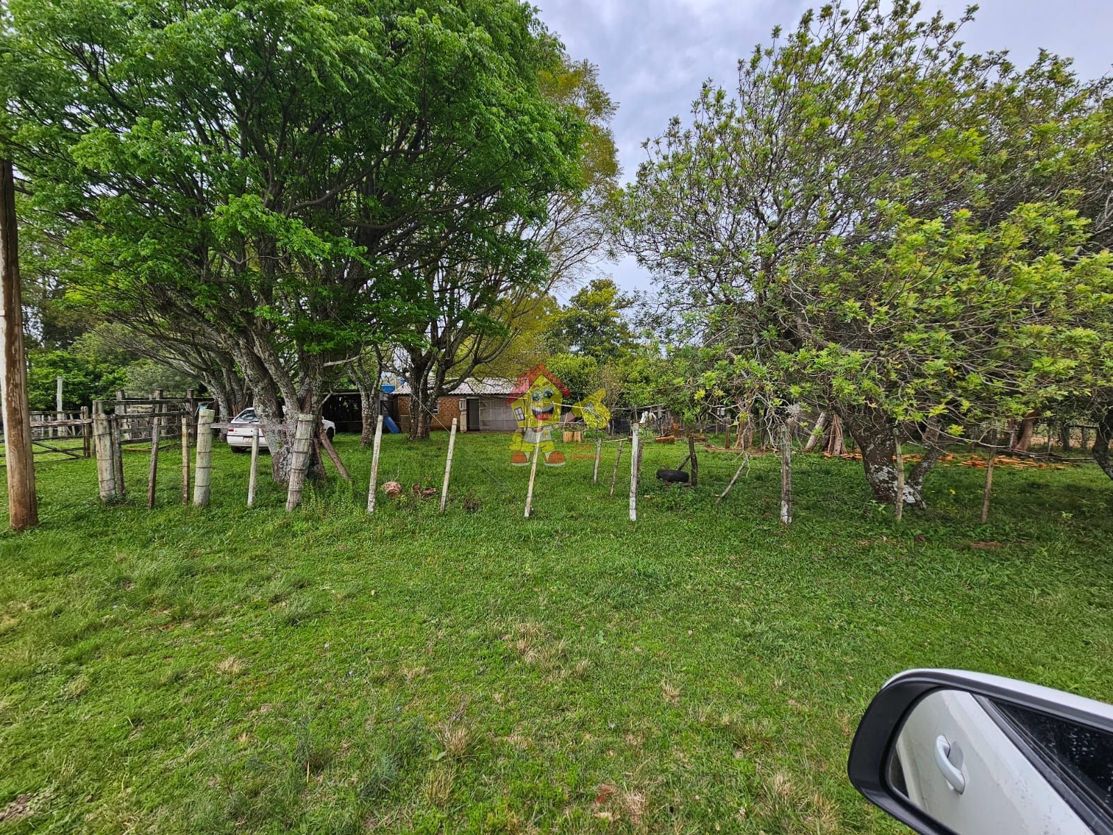 Fazenda/sítio/chácara/haras à venda  no Zona Rural - Alegrete, RS. Imóveis