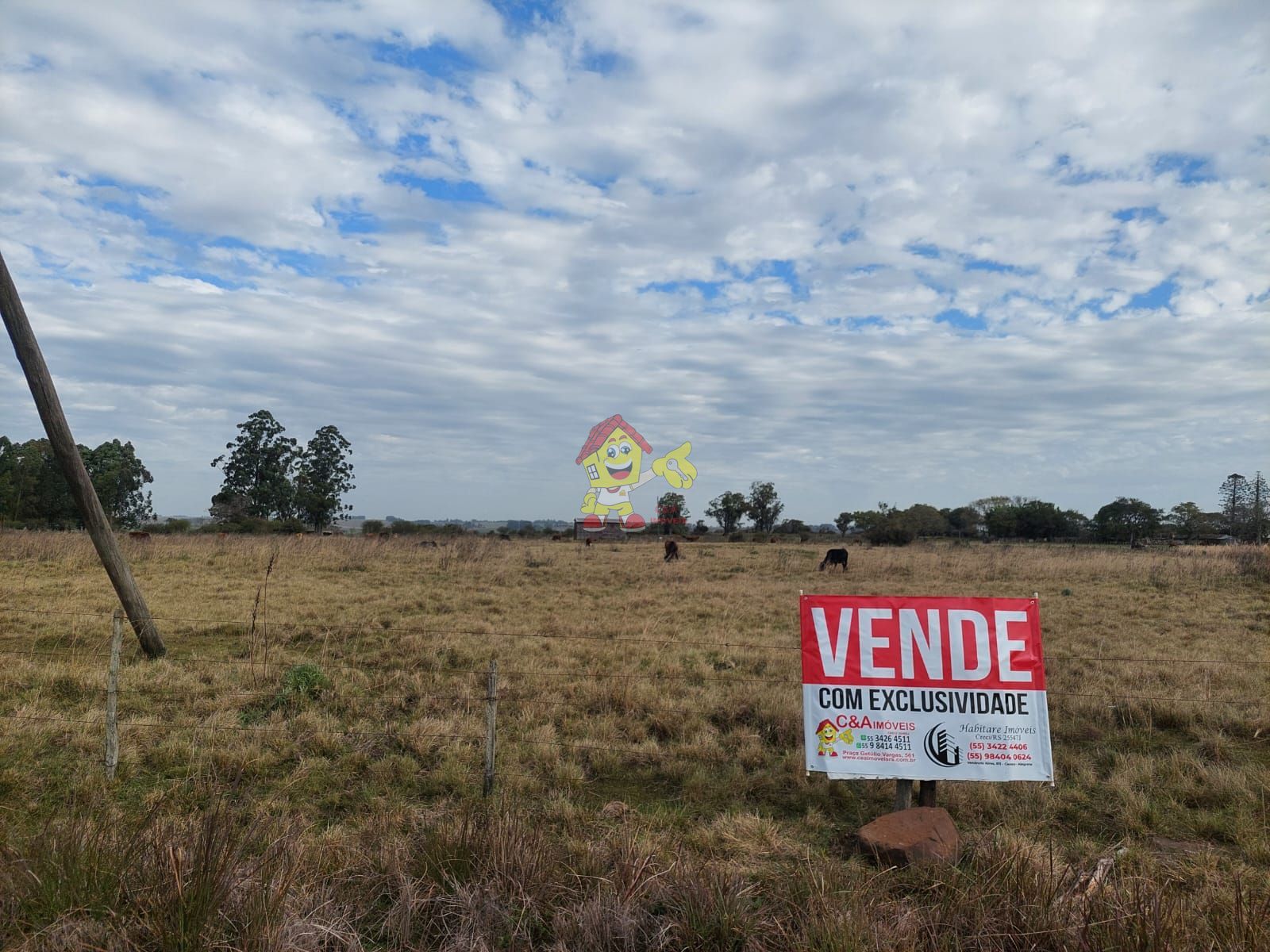 Fazenda/sítio/chácara/haras à venda  no Nova Brasília - Alegrete, RS. Imóveis