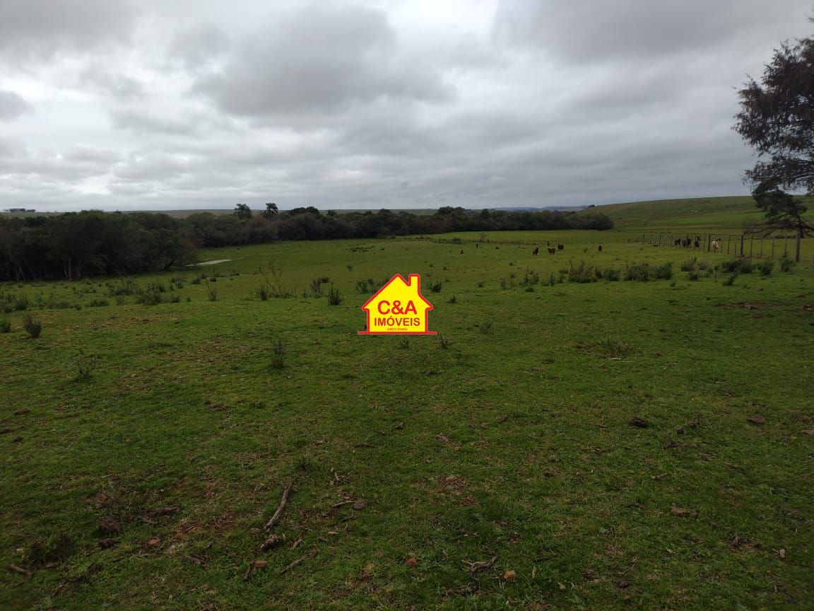 Sítio, 2 quartos, 800 hectares - Foto 14