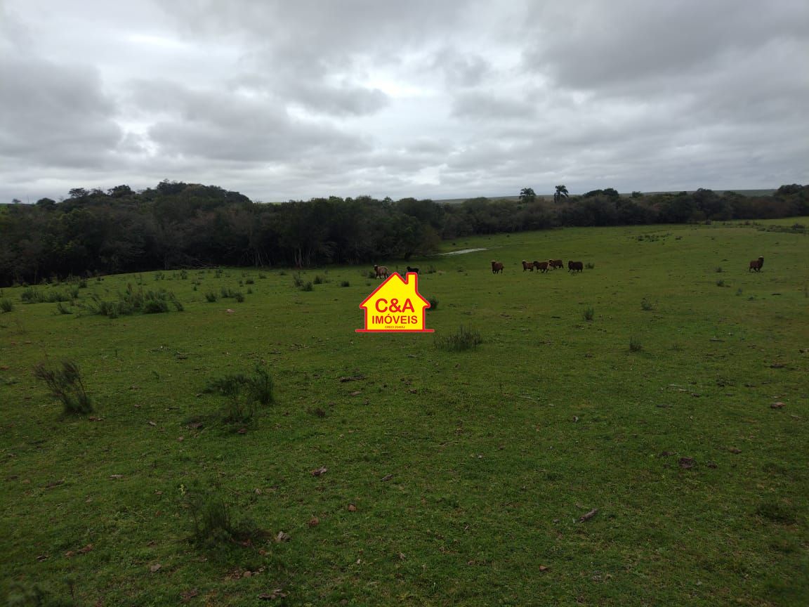 Fazenda à venda com 2 quartos, 8000000m² - Foto 17