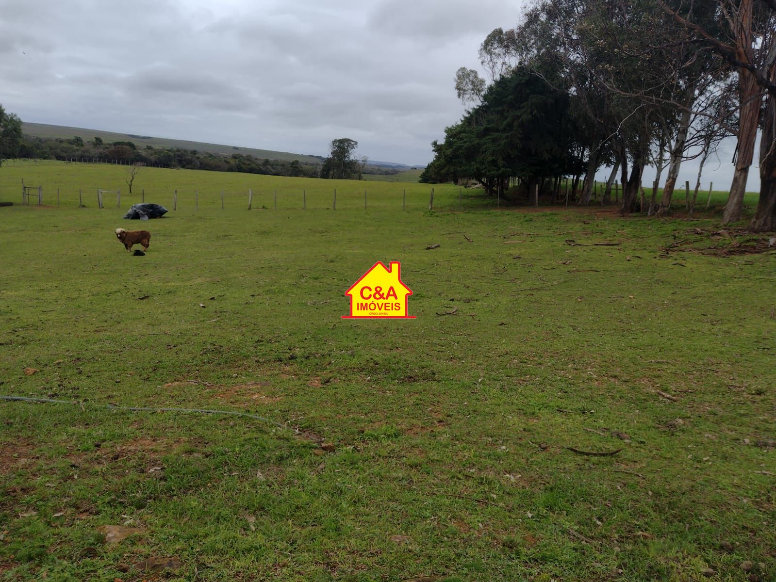 Fazenda à venda com 2 quartos, 8000000m² - Foto 24