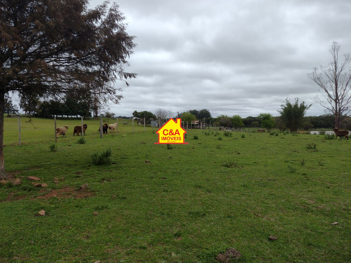 Fazenda à venda com 2 quartos, 8000000m² - Foto 13