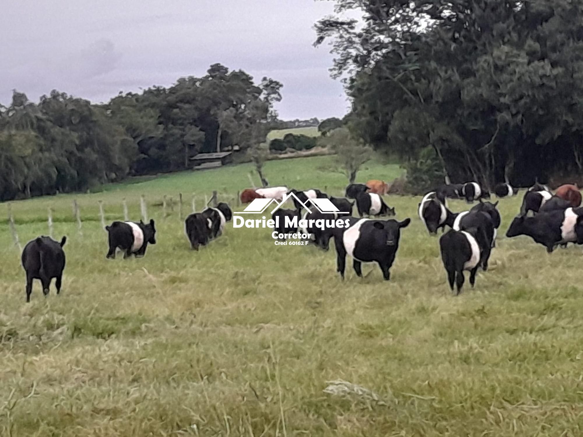 Chacara à venda em Vera Cruz RS
