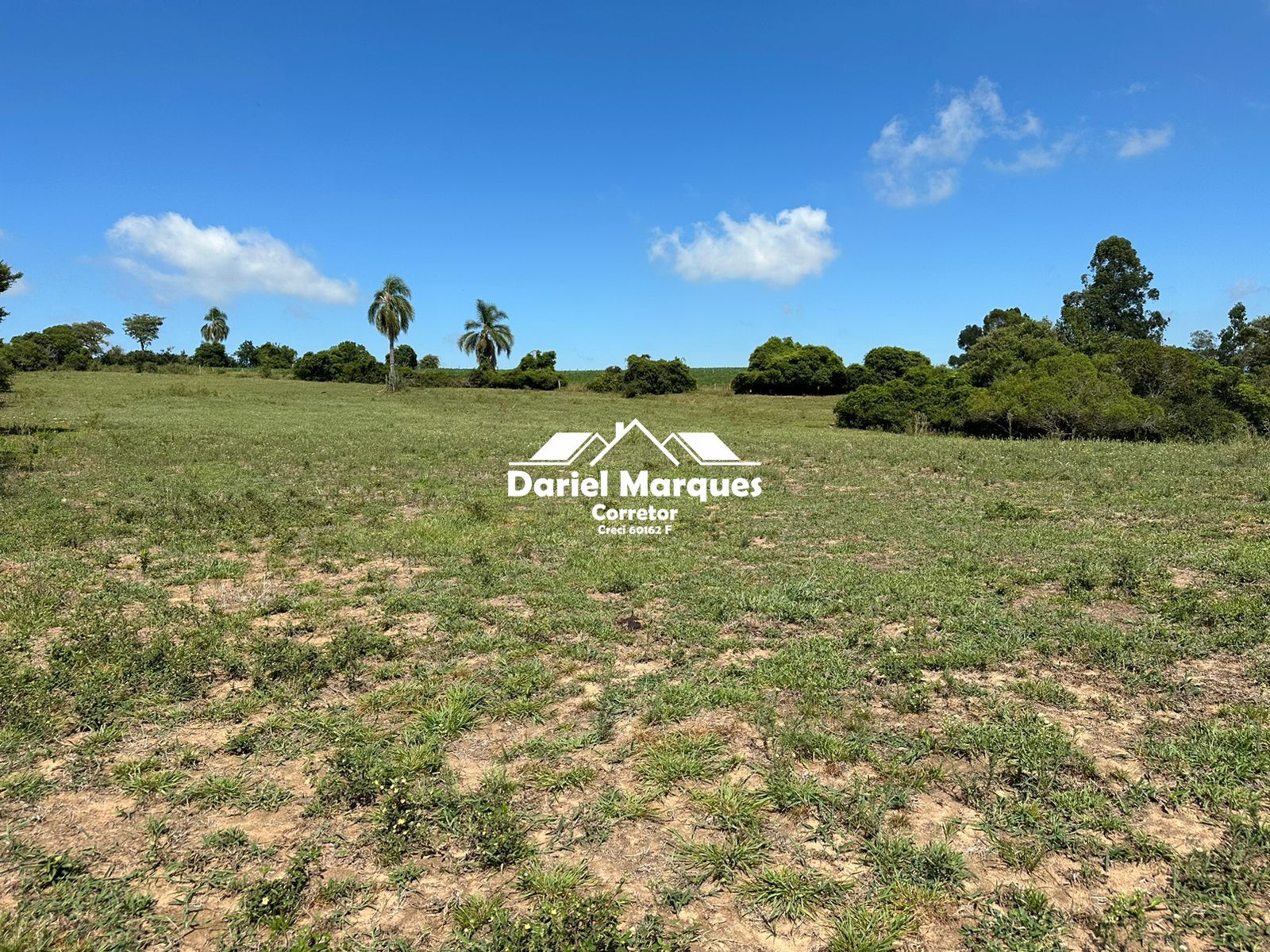 Campo à venda, 6km da cidade de Formigueiro/RS.