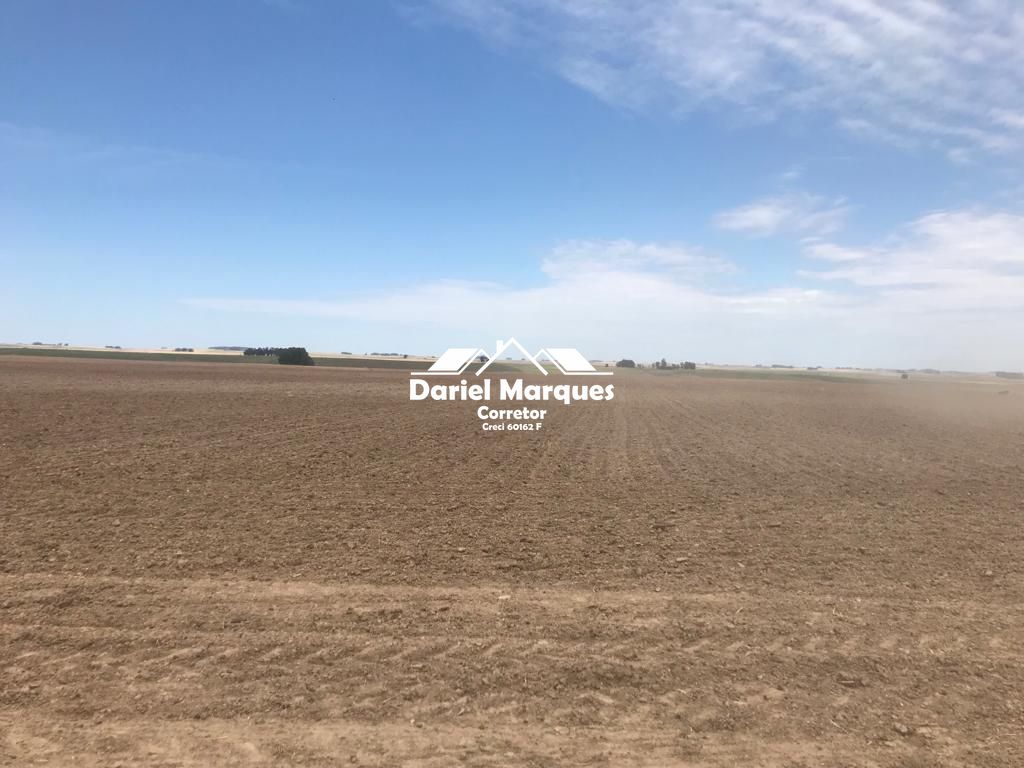 Campo 90% lavoura de soja em São Gabriel RS