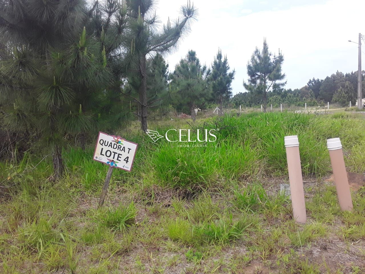 Terreno/Lote  venda  no Novo Passo - Passo de Torres, SC. Imveis