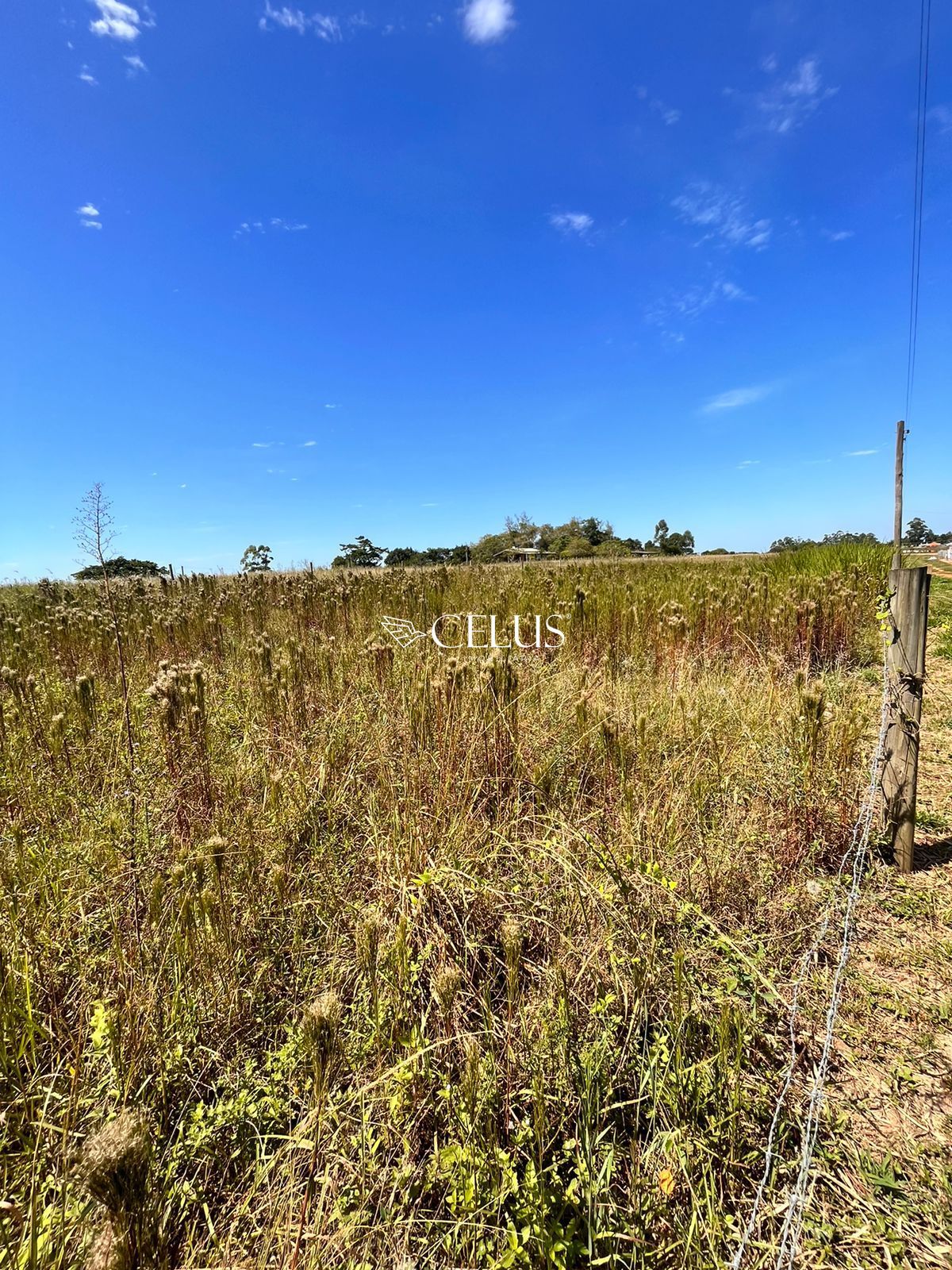 Terreno/Lote  venda  no Curralinhos - Passo de Torres, SC. Imveis