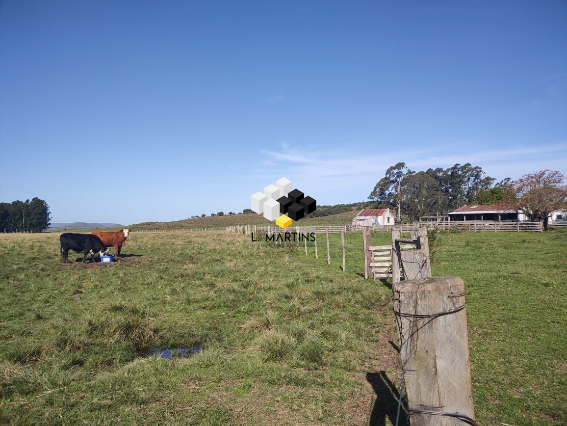 Fazenda à venda, 17690000m² - Foto 35