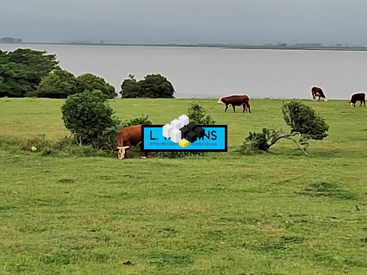 Fazenda à venda, 100000000000m² - Foto 13