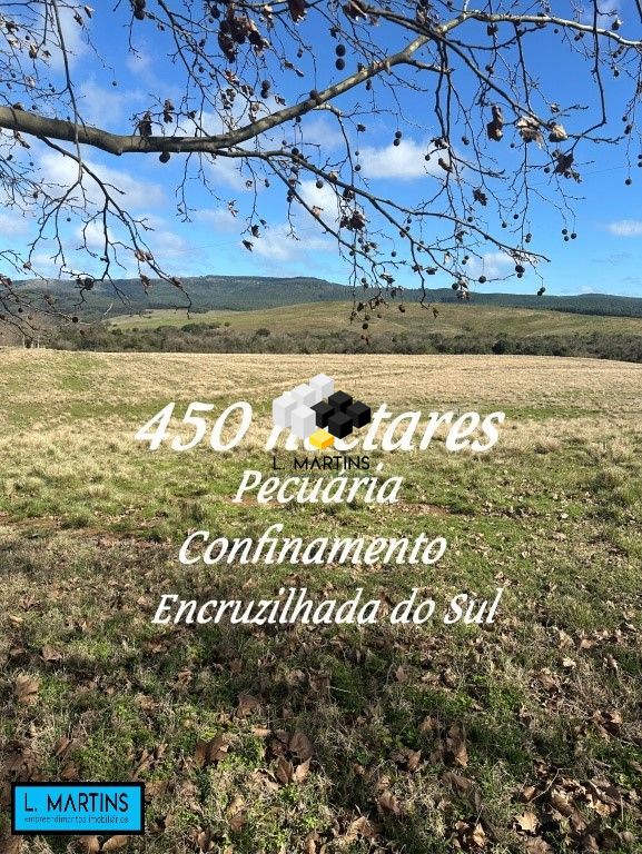 Fazenda/stio/chcara/haras  venda  no Alto do Renner - Encruzilhada do Sul, RS. Imveis