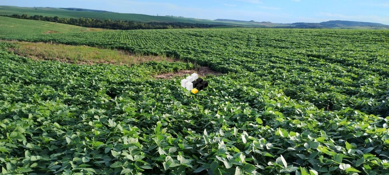 Fazenda/sítio/chácara/haras à venda  no Centro - Rosário do Sul, RS. Imóveis