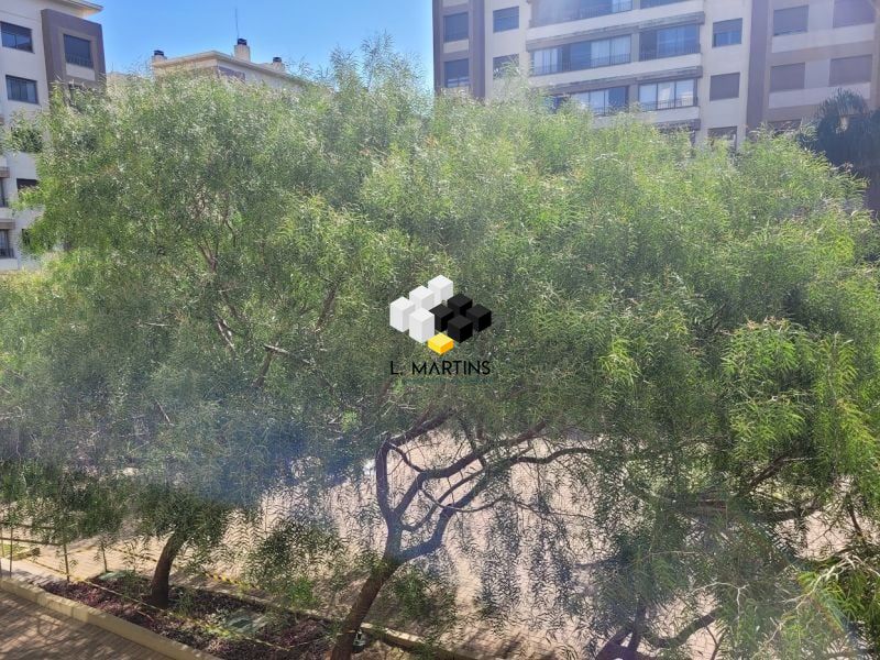 img120387115