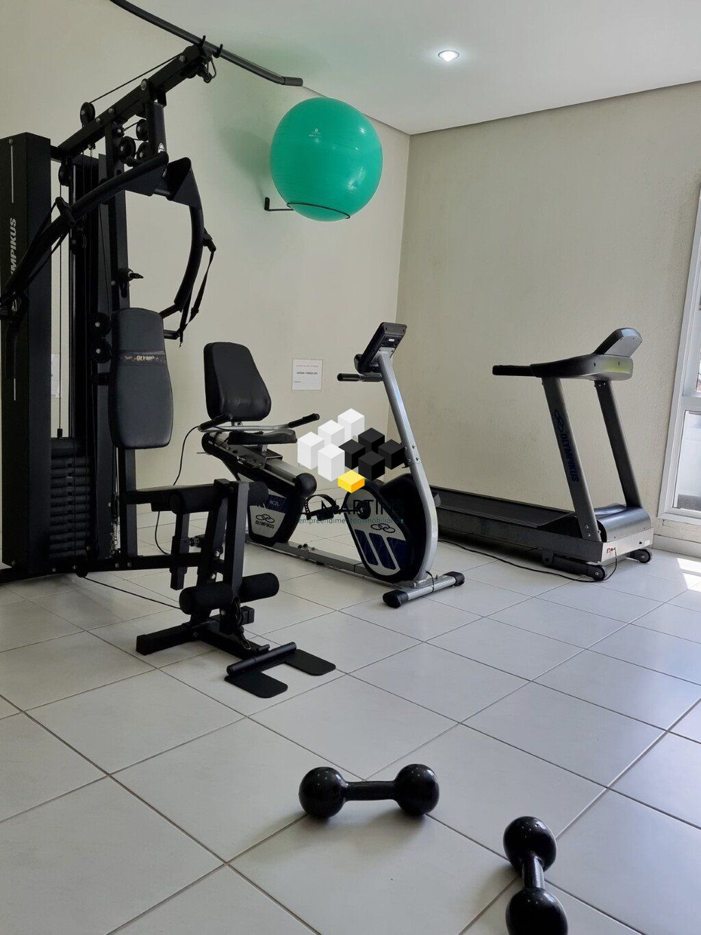img196421759