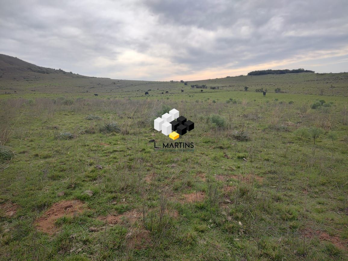 Fazenda à venda, 17690000m² - Foto 9