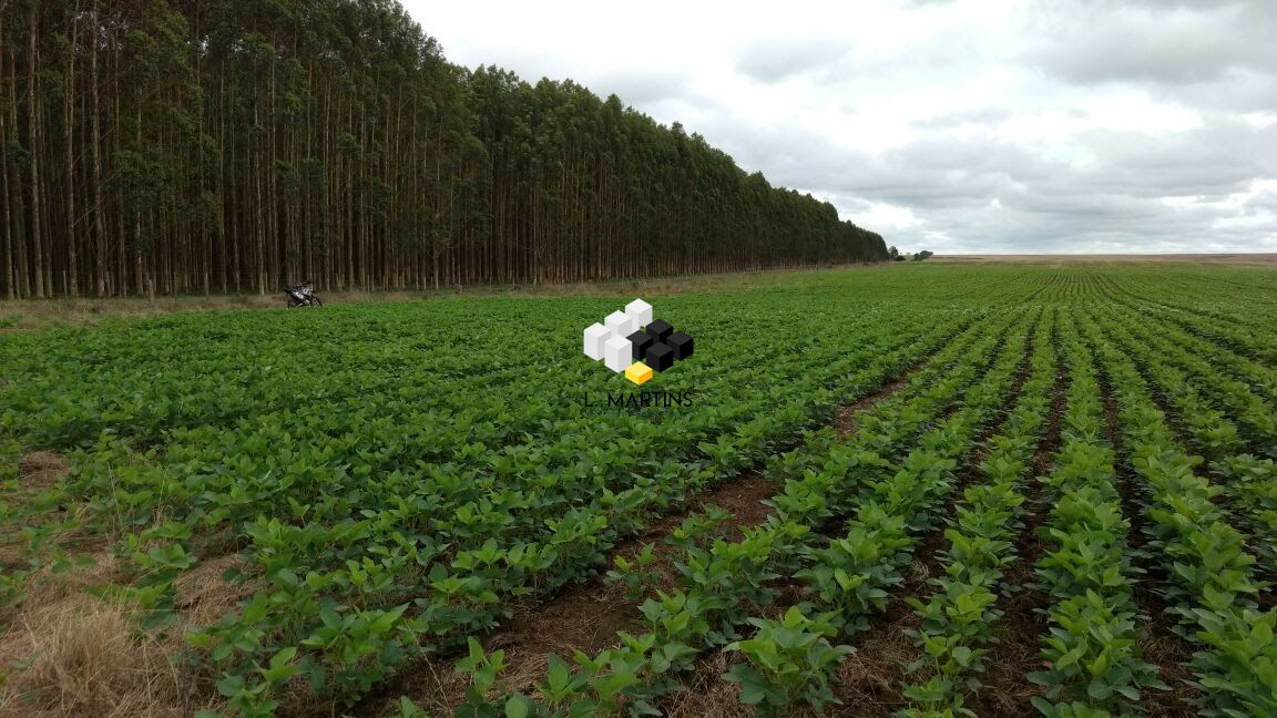 Fazenda/sítio/chácara/haras à venda  no Zona Rural - Jaguarao, RS. Imóveis