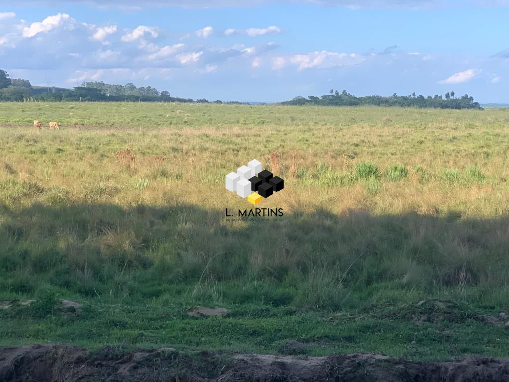 Fazenda à venda, 34900000000m² - Foto 12