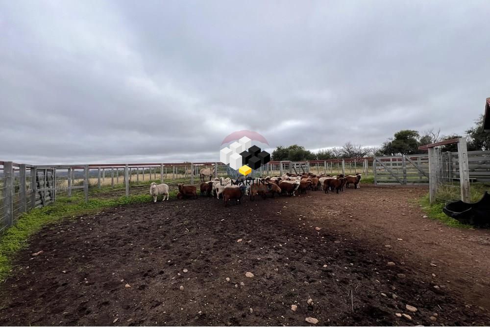 Fazenda à venda, 19800000000m² - Foto 16