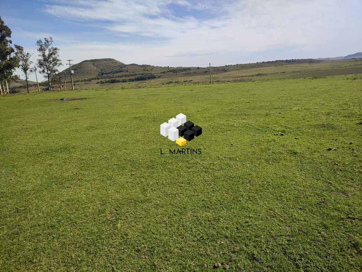 Fazenda/sítio/chácara/haras à venda  no Centro - Rosário do Sul, RS. Imóveis