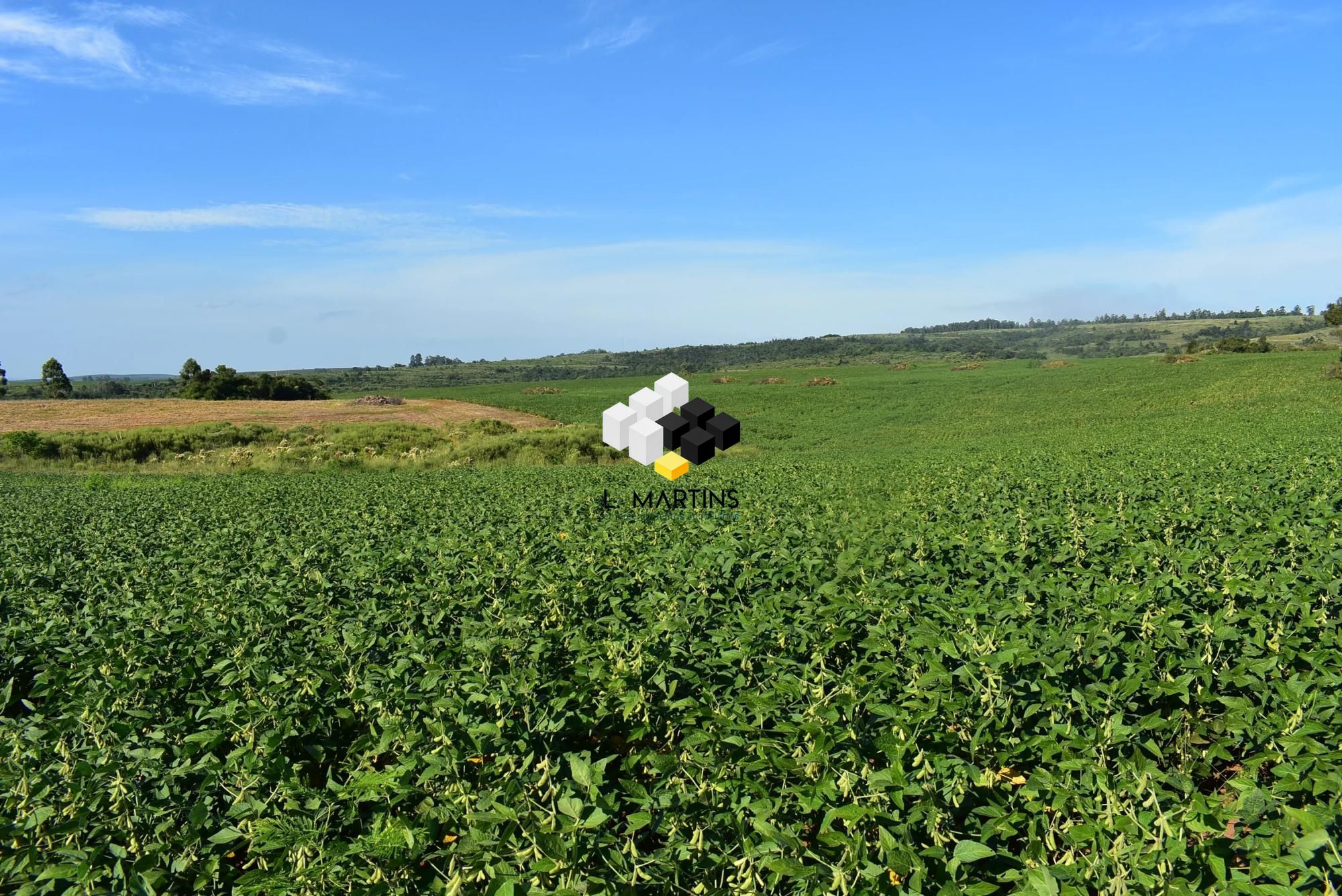 Fazenda à venda, 28200000000m² - Foto 7