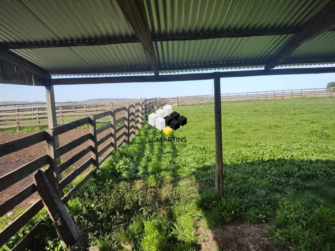 Fazenda à venda, 17690000m² - Foto 57