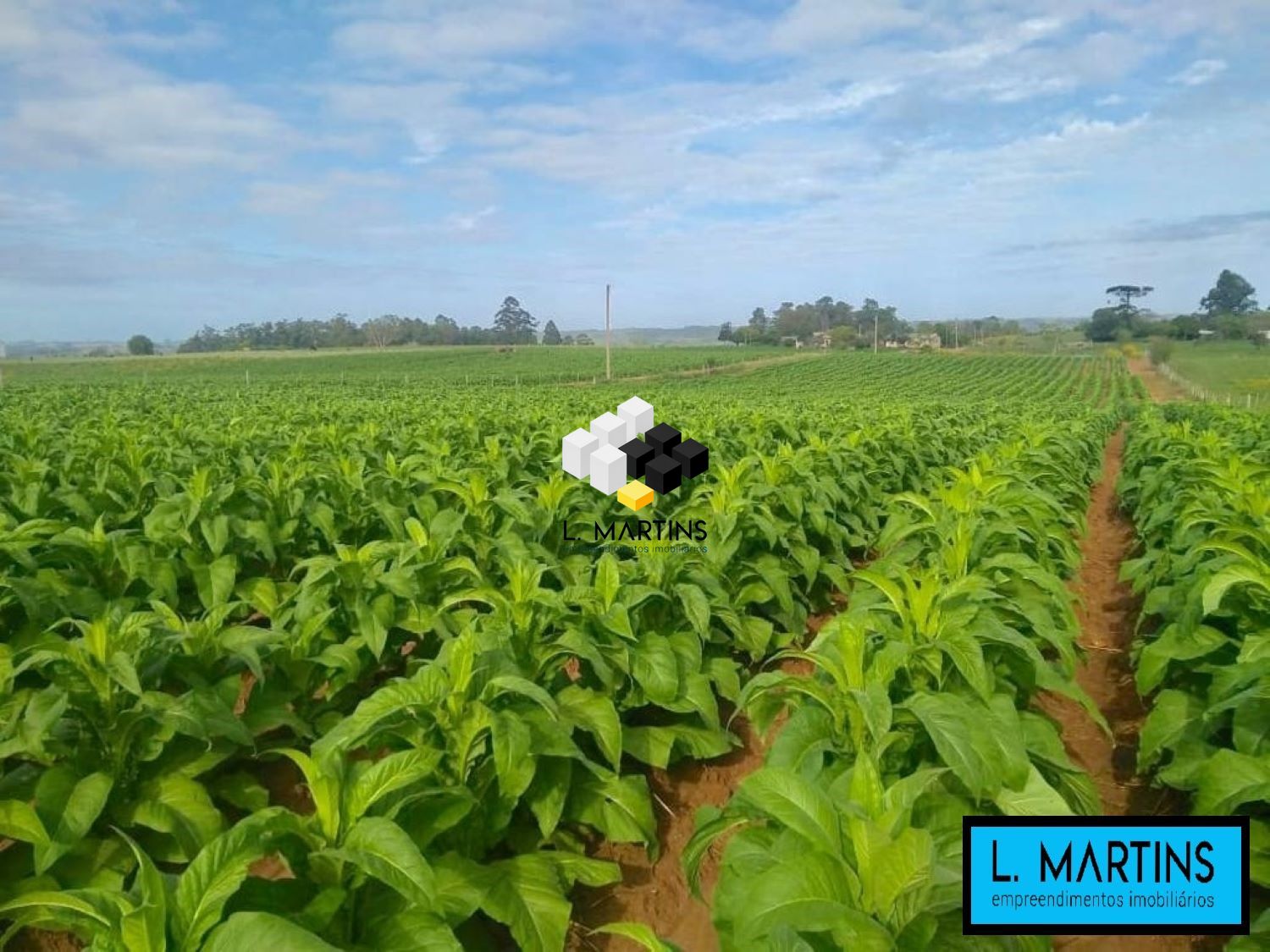 Fazenda à venda, 850000000m² - Foto 1